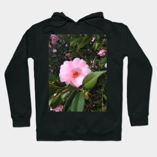 Light pink flower Hoodie